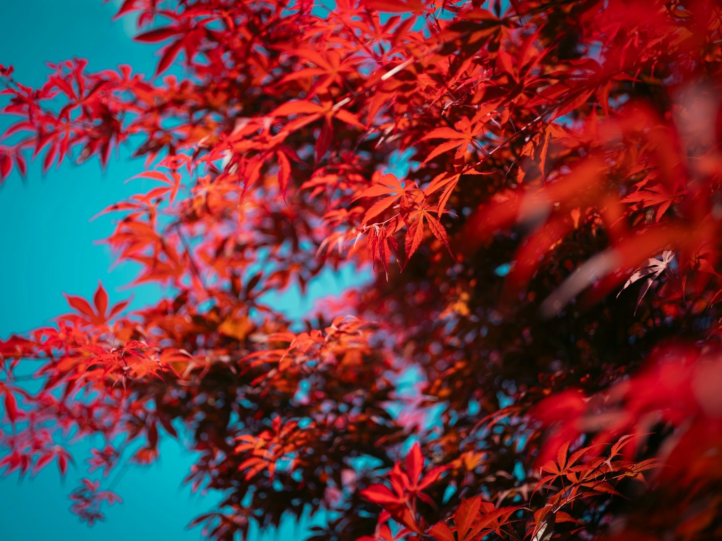 Innovative Services That Spark Creativity